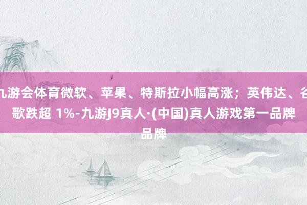 九游会体育微软、苹果、特斯拉小幅高涨；英伟达、谷歌跌超 1%-九游J9真人·(中国)真人游戏第一品牌